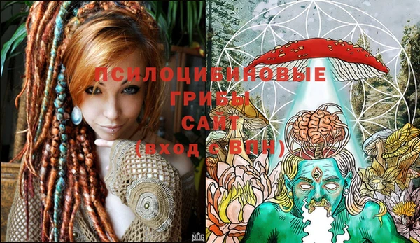 крисы Белокуриха