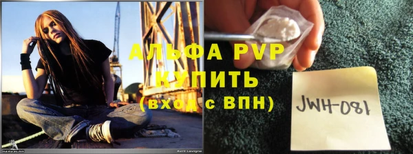 крисы Белокуриха