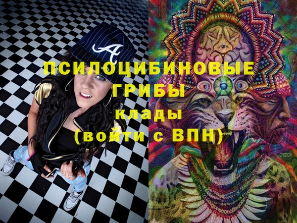 крисы Белокуриха