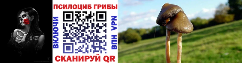 цены   Ворсма  Галлюциногенные грибы мухоморы 